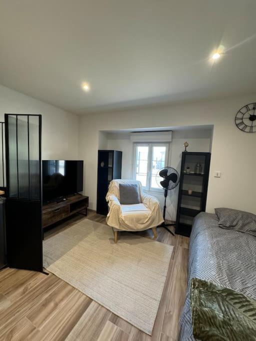 Joli Studio En Rez-De-Chaussee Saint Gaudens Exteriér fotografie